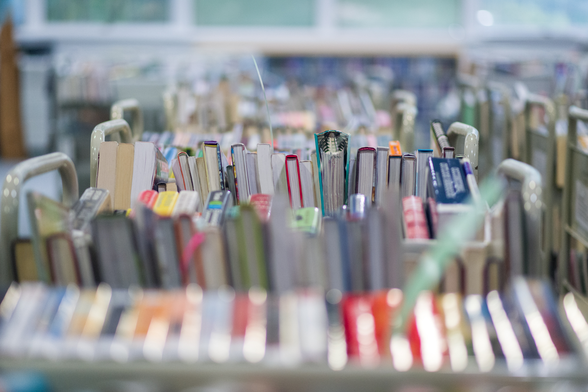 Rows of book carts fully piled with books.