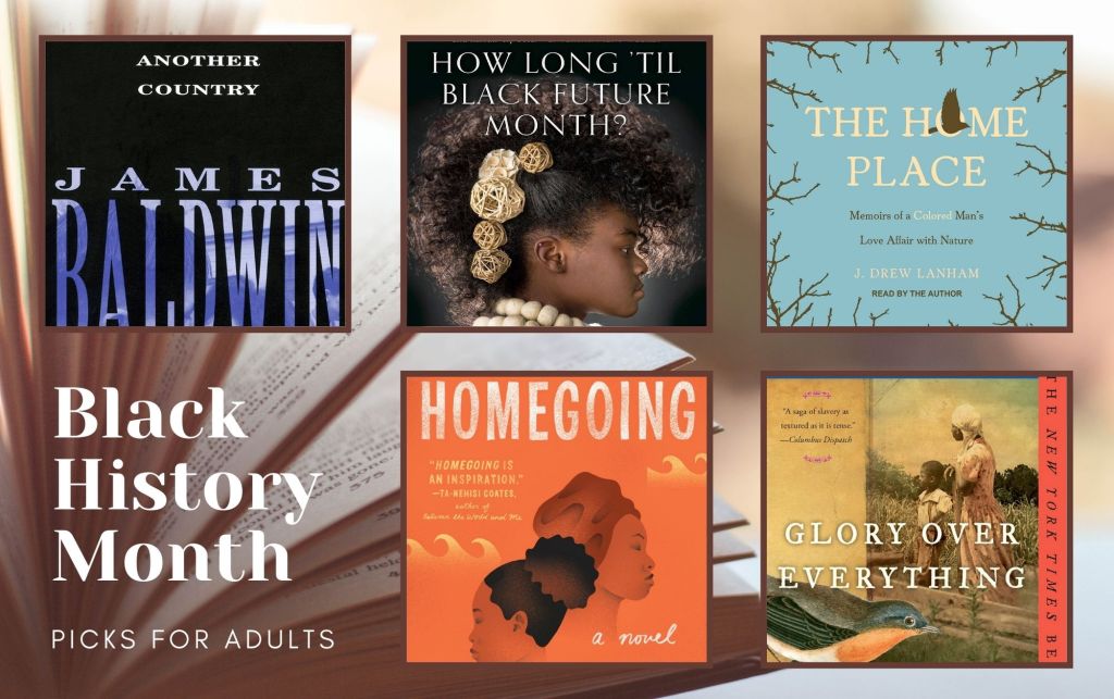 A collage of five books. Another Country emphasizes the author's name against a black background. How Long "Til Black Future Month features a Black woman in profile with her hair up and adorned with roses. The Home Place provides the perspective of looking up at a blue sky and bare branches. Homegoing has a an orange background with illustrations of waves and two overlapping profiles of Black women. Glory Over Everything shows a painting of a wman and a shcild standing in a field, with the illustration of robin in the foreground.