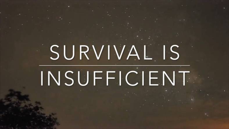 Against a deep night sky and the hint of a tree in the bottom left corner appear the words: Survival is Insufficient, with a narrow rule dividing the lines.