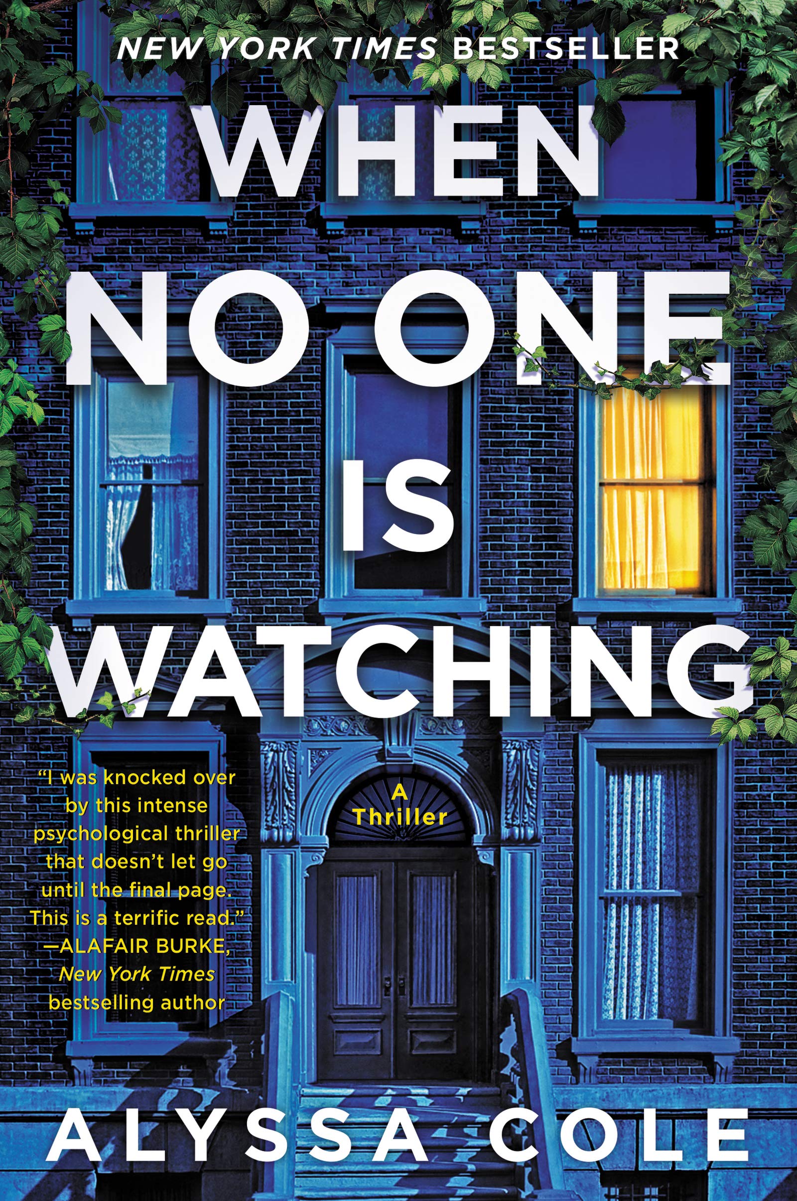 The book cover shows a brick townhome or apartment building shaded in blue shadows, with greenery from tree branches around the edges. There are marble steps and railings up to the front double doors, and eight windows on three floors, one lighted behind a curtain, and one dark but with a curtain pulled back as if someone is watching from the dark.