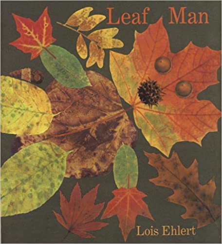 The cover depicts varying types of leaves, acorns, and a seed pod. The leaves are in fall colors of red, orange, yellow, green, and brown.