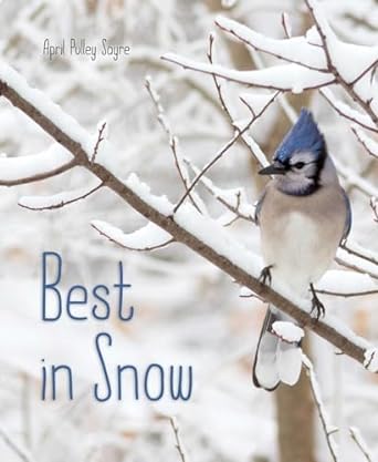 The book cover is a photograph of a blue jay perched on a snowy branch of a bare tree.
