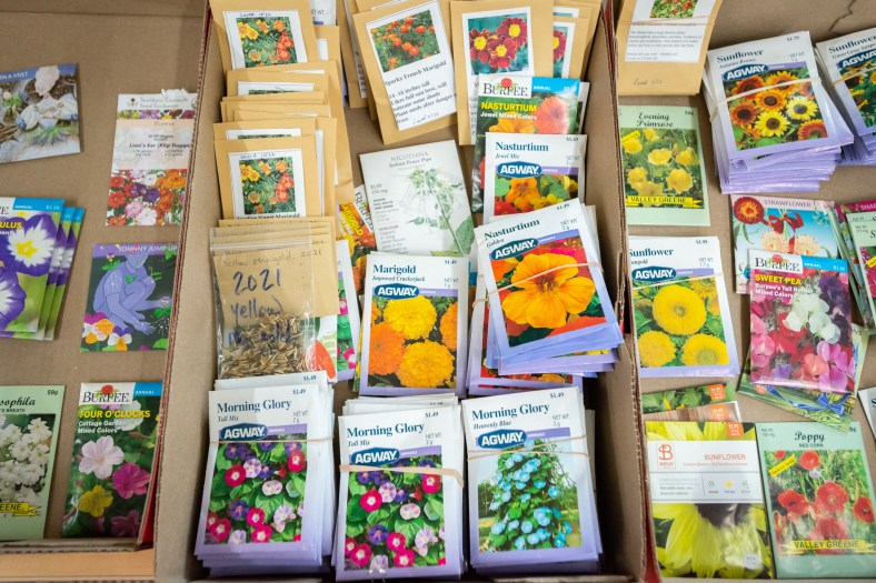 A colorful selection of seed packets sitting in cardboard boxes.