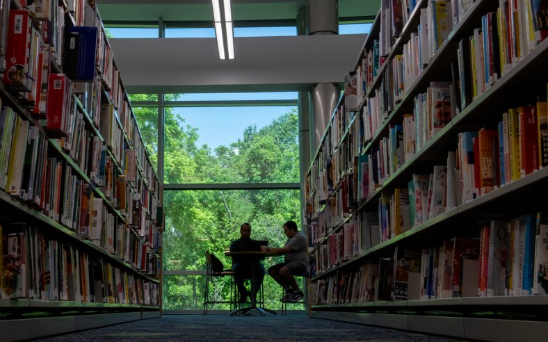 You see two figures at the end of a long aisle of book shelves, in front of a window looking out at a summer's day with green trees and a blue sky.