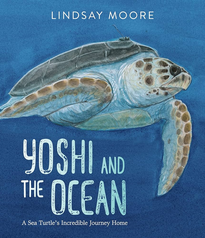 A large sea turtle swims through the blue waters, above the book title.