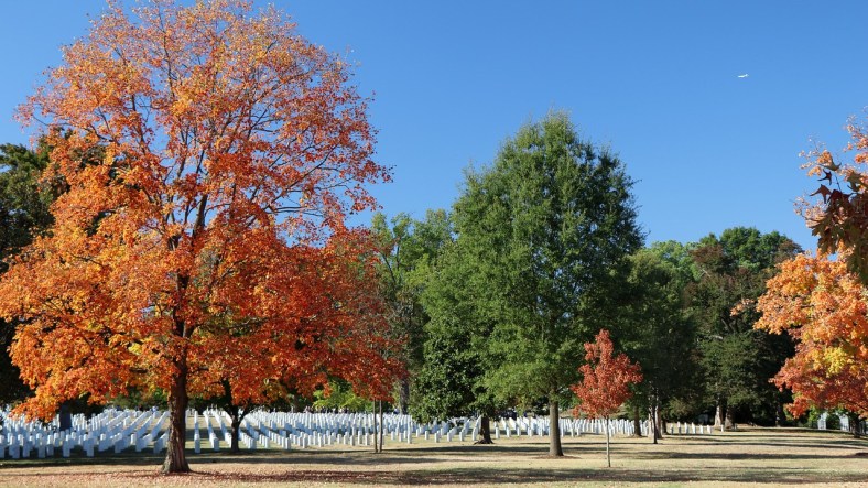 Arlington National Cemetary on a fall day, with a blue sky and the leaves changing colors.